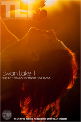 Swan-Lake-1