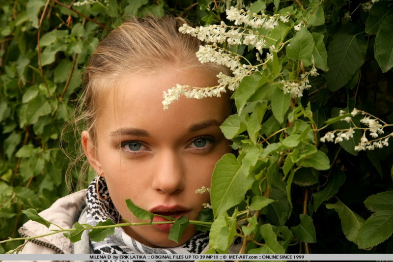 Floreas