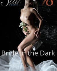 Bride in the Dark